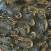 Baked Beads