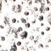 Baked Beads